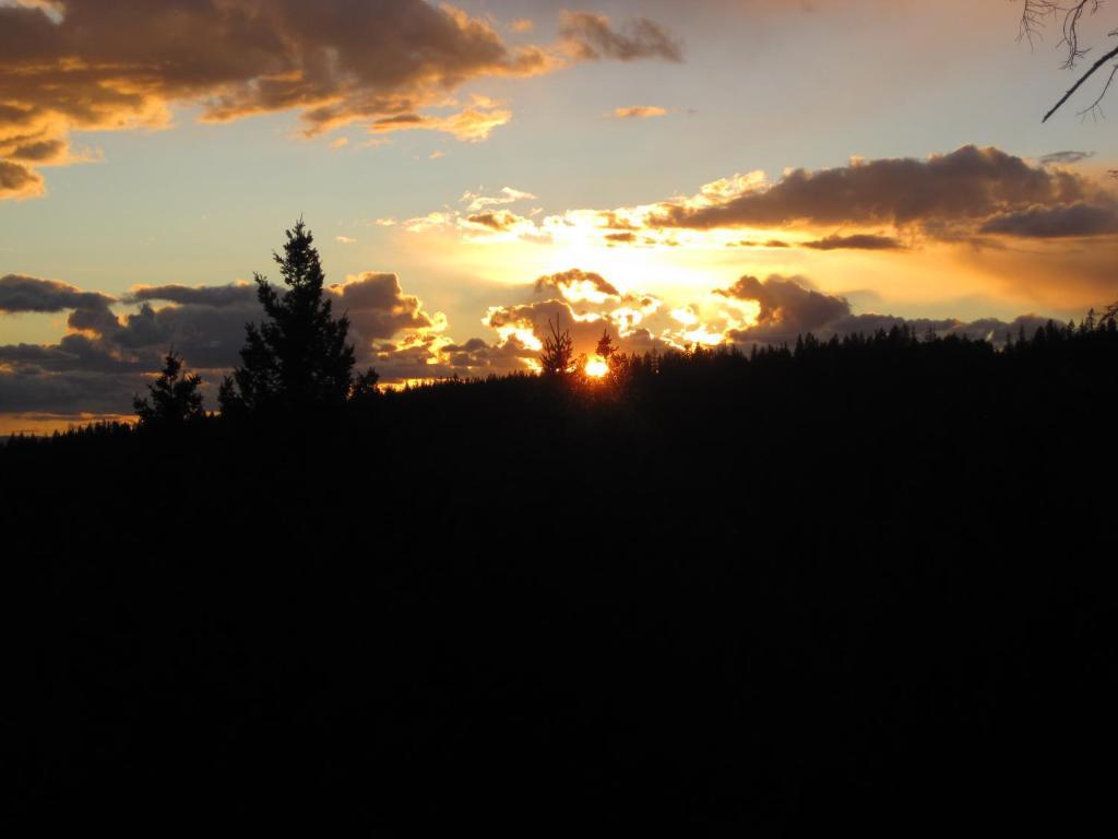 Wild Nature B&B Kelowna Exterior foto