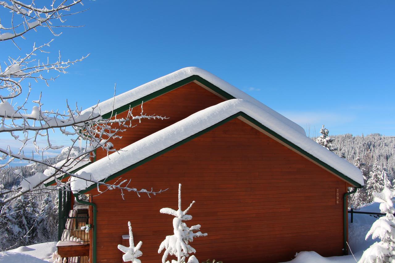 Wild Nature B&B Kelowna Exterior foto